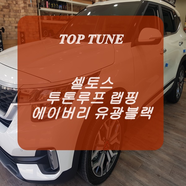 탑튠 이미지