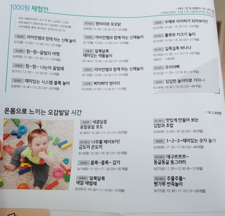 오감플러스원 이미지