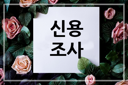 에스지아이 이미지