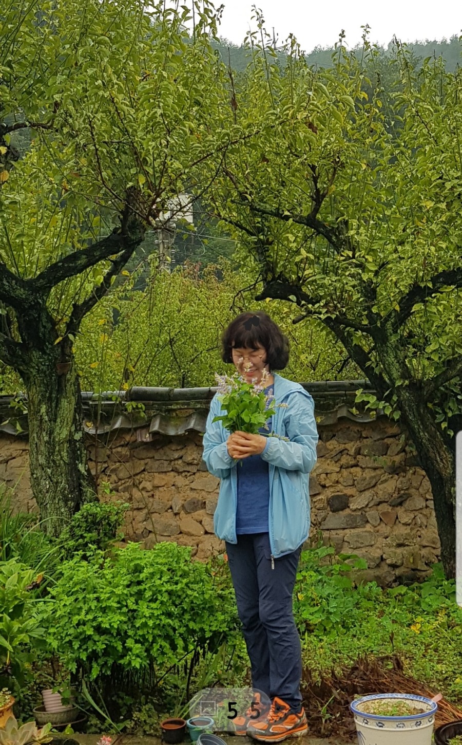 주가네 이미지