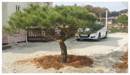 푸른조경 이미지