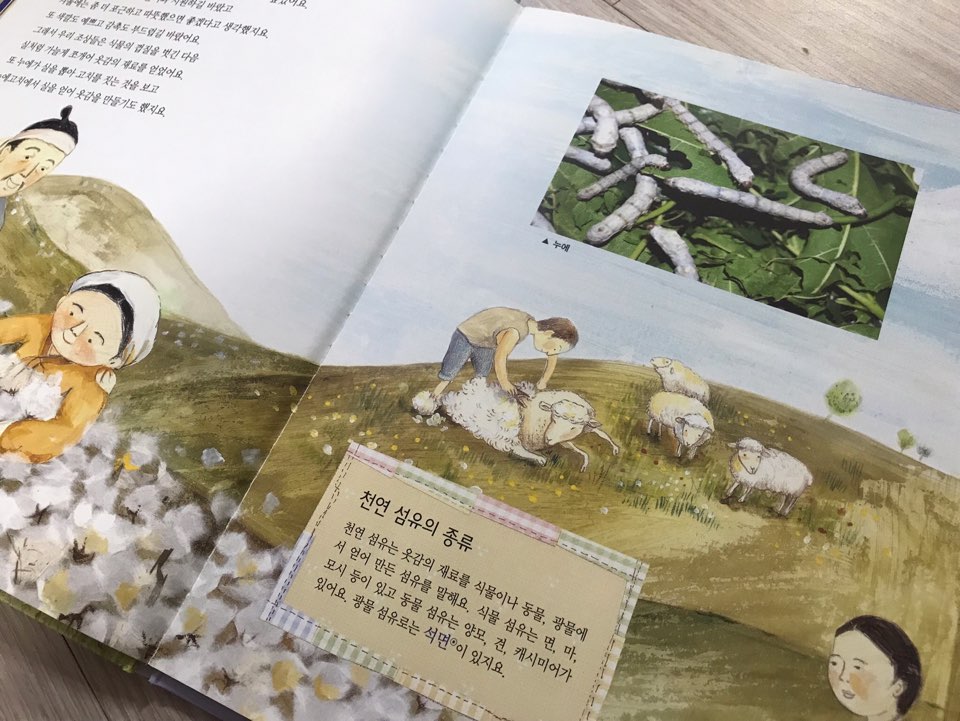 솜반 이미지