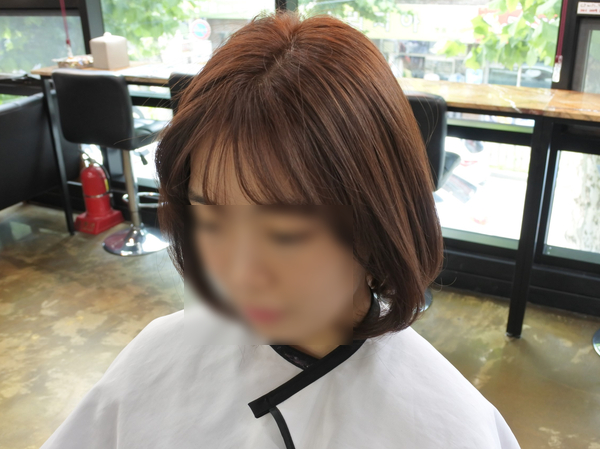 앙포레 아비떼 이미지