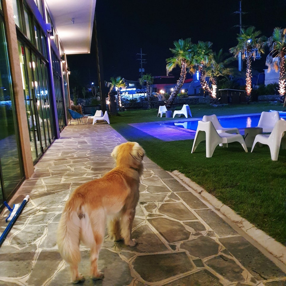 카페 787 이미지