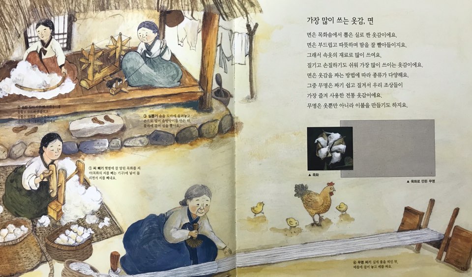 솜반 이미지