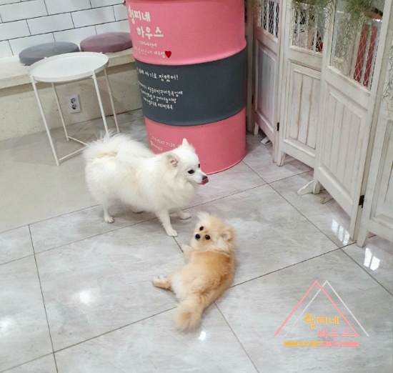 (주)레임 이미지