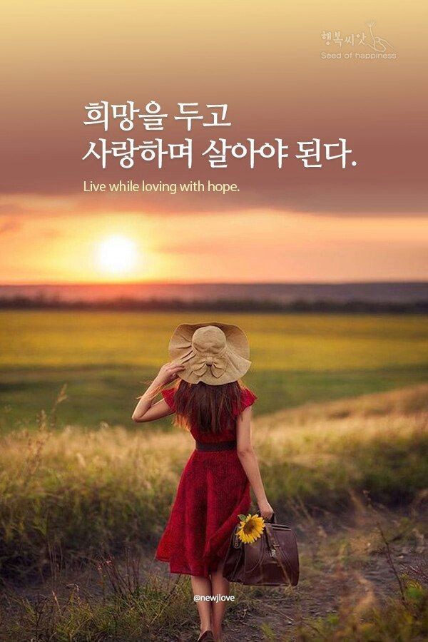 희망 이미지