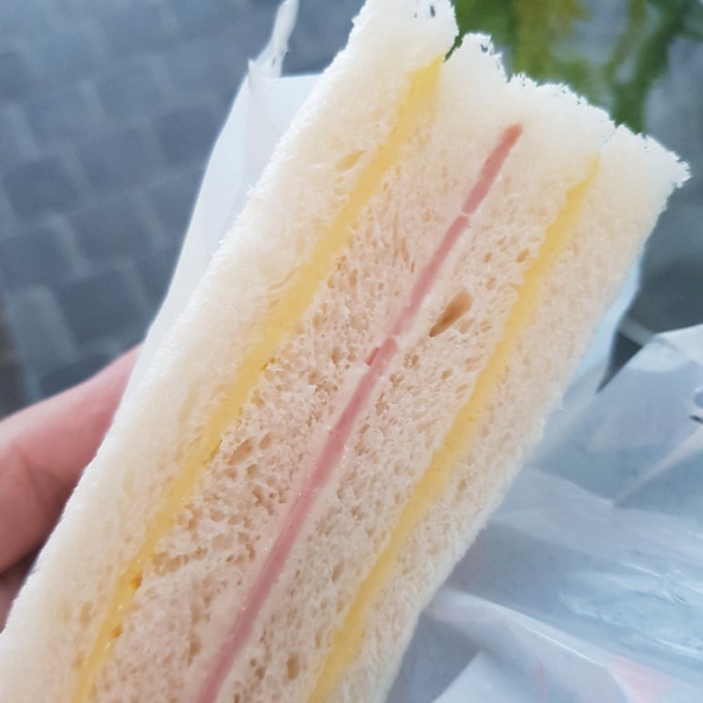 홍루이젠우 이미지