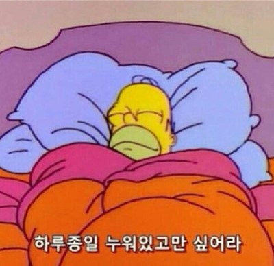 끋집 이미지