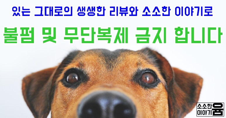 연안전라도고흥횟집 이미지