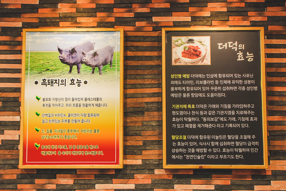 섬돼지 이미지