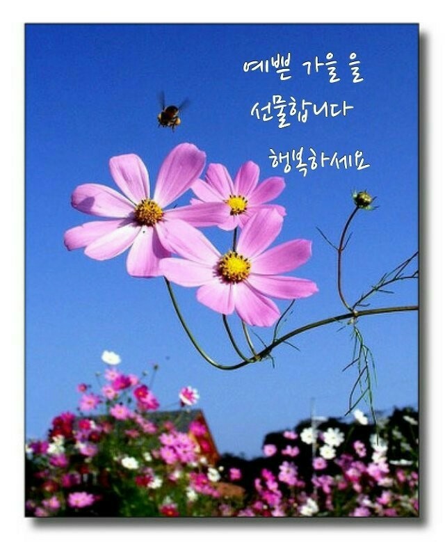 우드스토리 이미지