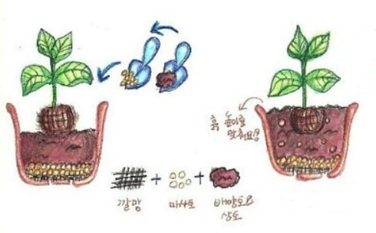 바른식문화개발원 이미지