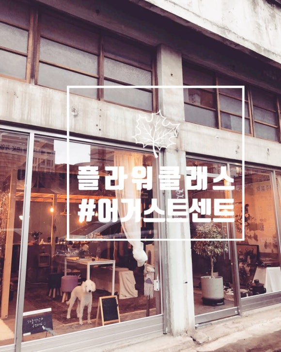 어거스트센트 이미지