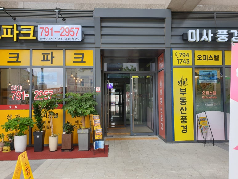 살롱드솔 이미지