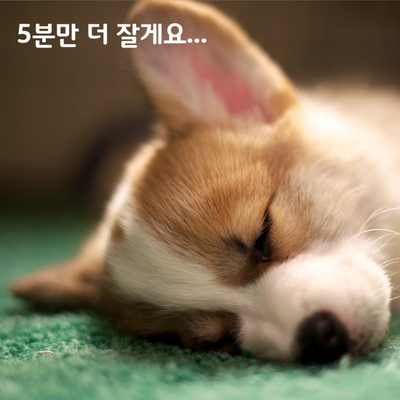 폼짐 이미지