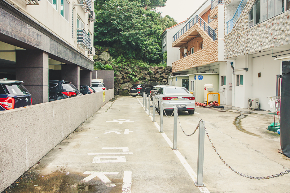 섬돼지 이미지
