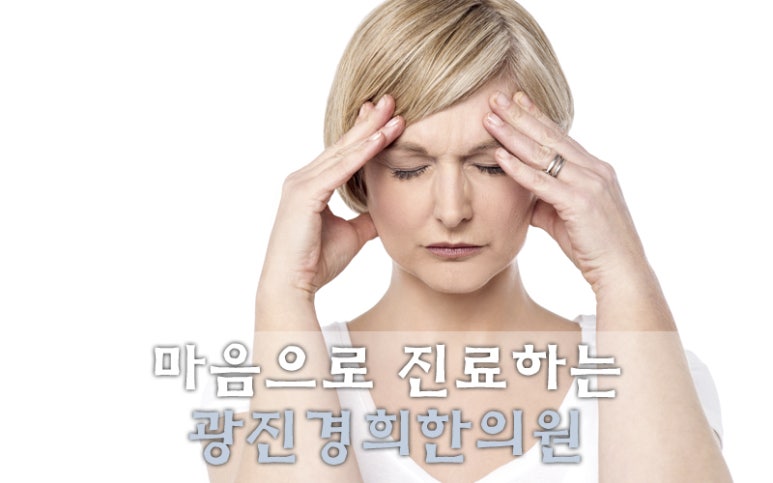 광진기전 이미지