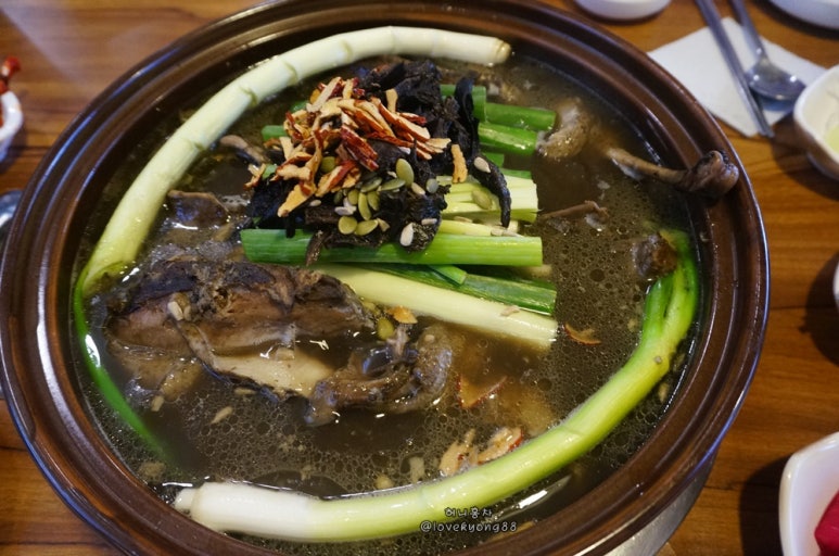 생생오리 이미지