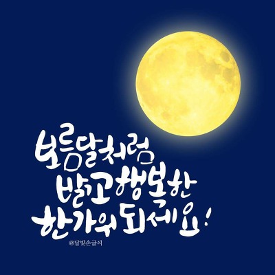 (주)세종드림투어 이미지