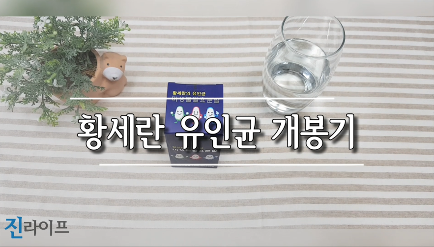 진라이프 이미지