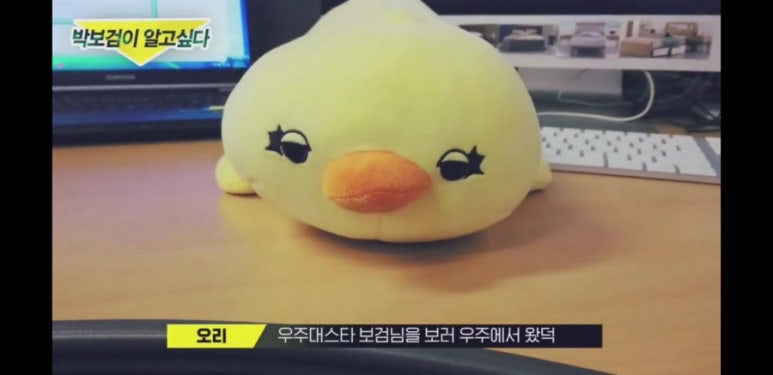 에이스광고 이미지