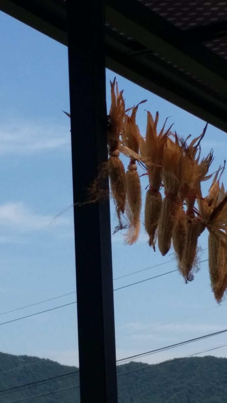 지리산 하늘농원 이미지