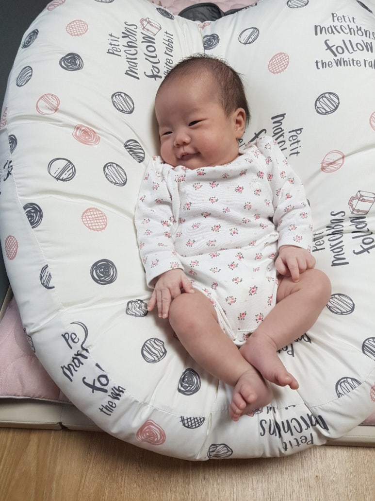 다미국시 이미지