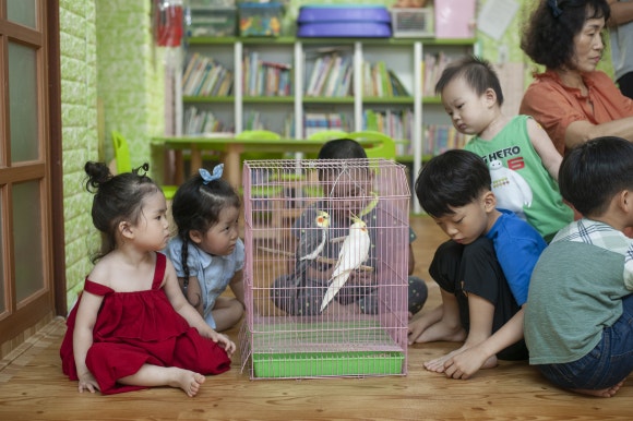 딩동댕어린이집 이미지