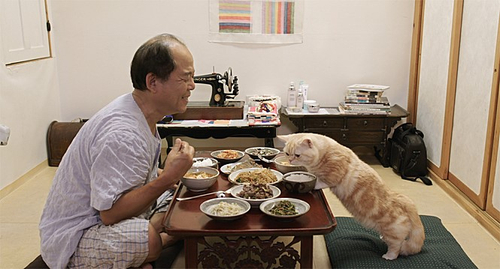 나만없어고양이 이미지