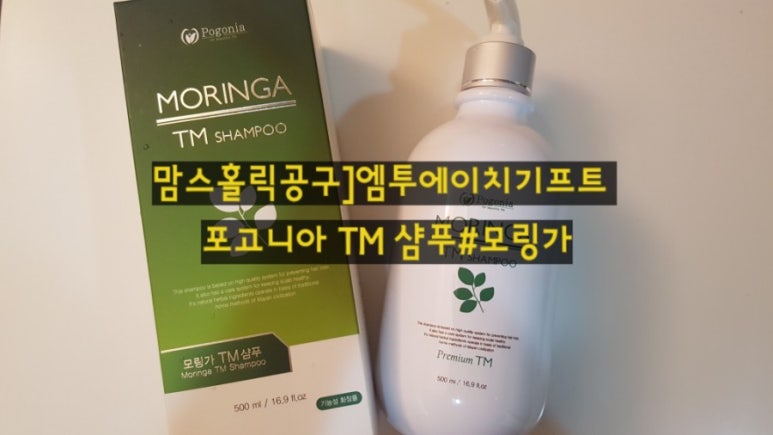 에이치홀릭 이미지