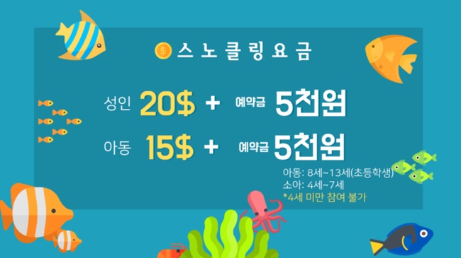 팡팡투어 이미지