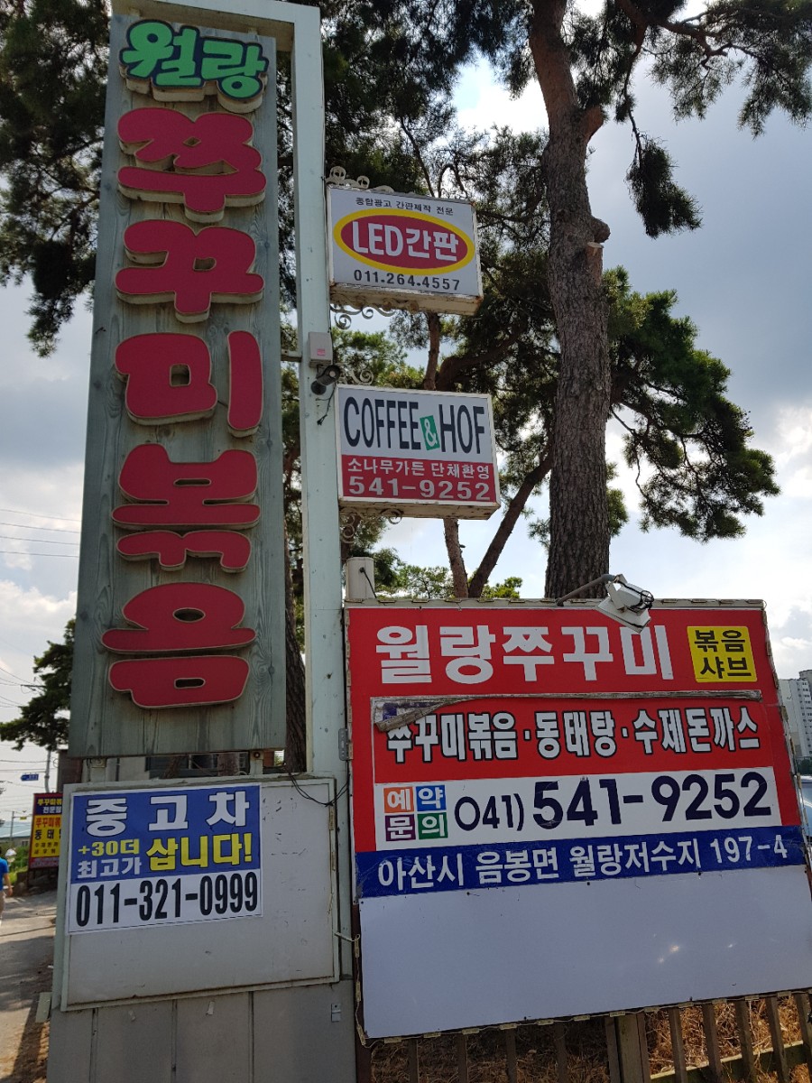 월랑쭈꾸미아산 이미지