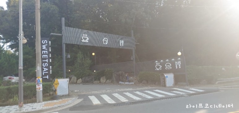 다동행 이미지