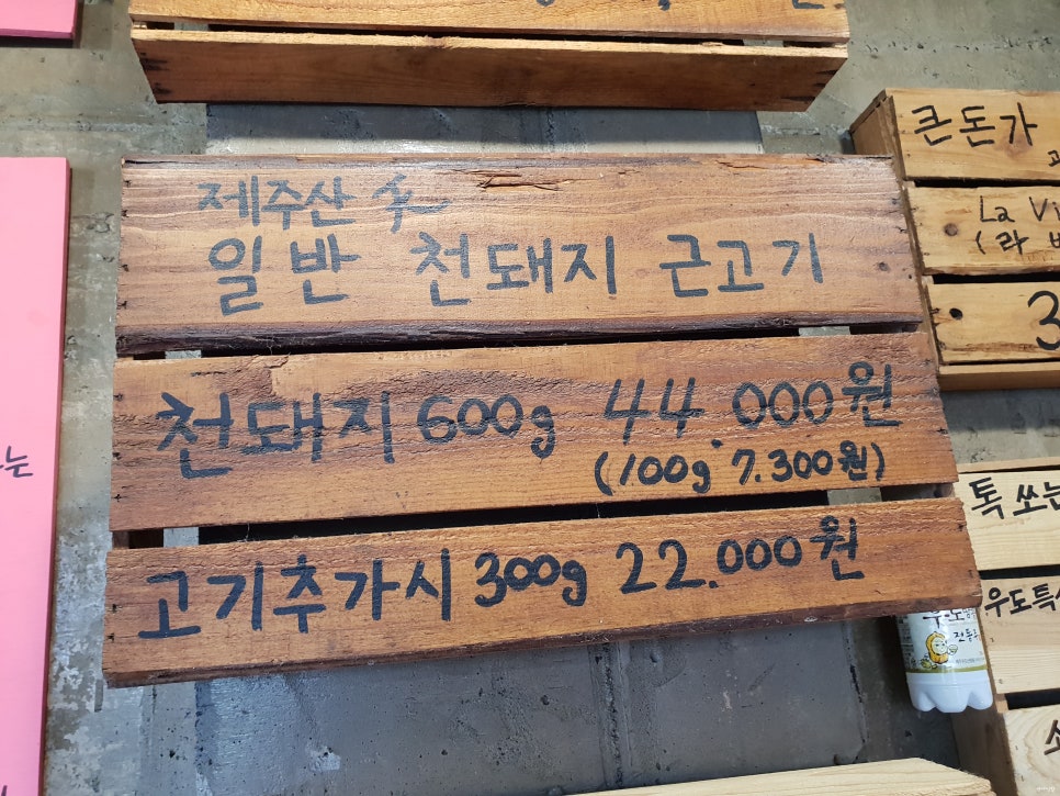 샤인네 이미지