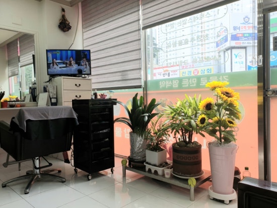 감이조아헤어염색 이미지