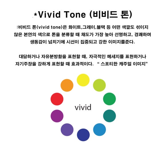 비비드vivid 이미지