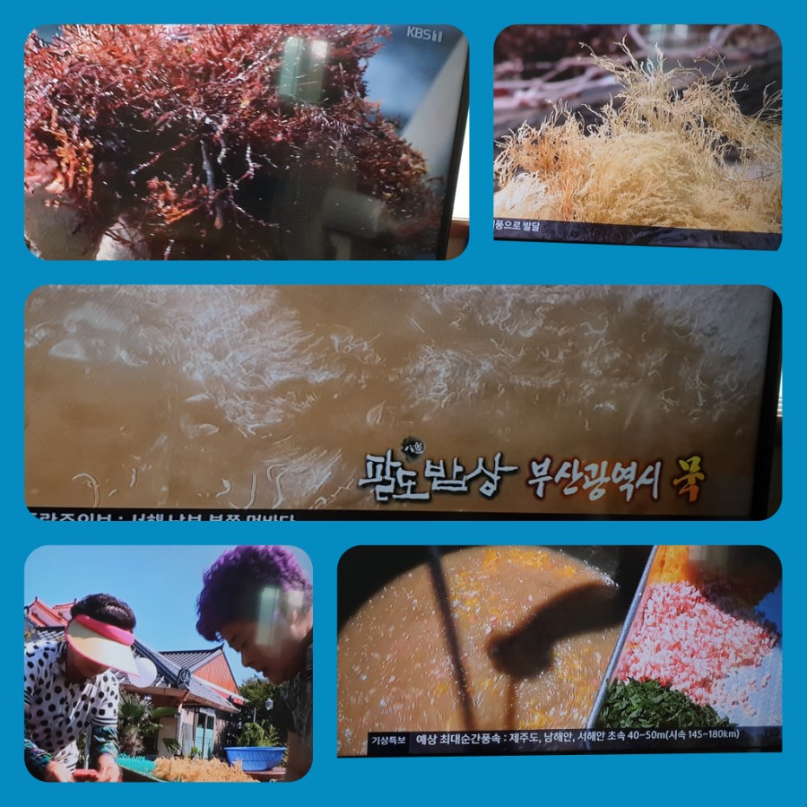 대변 산 곰장어 이미지