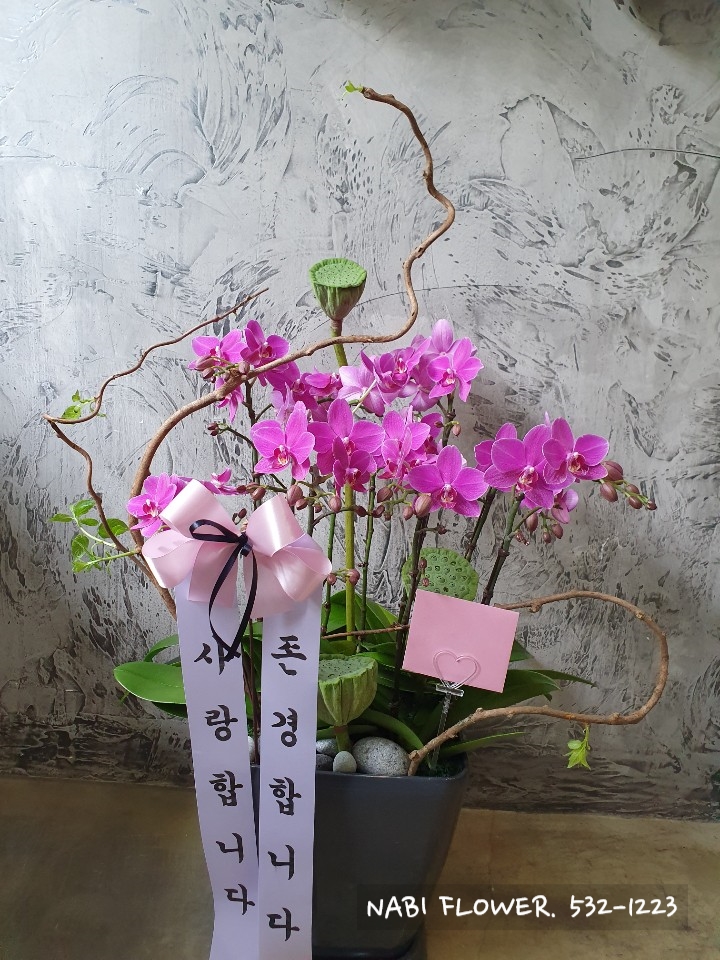 갈마꽃집 이미지