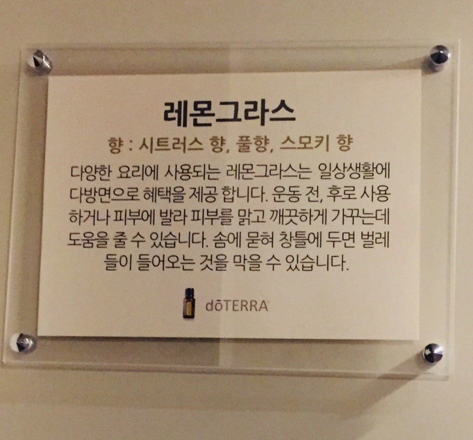 힐링보보하우스 이미지