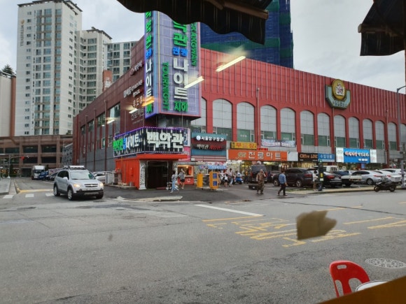 백악관관광나이트 이미지