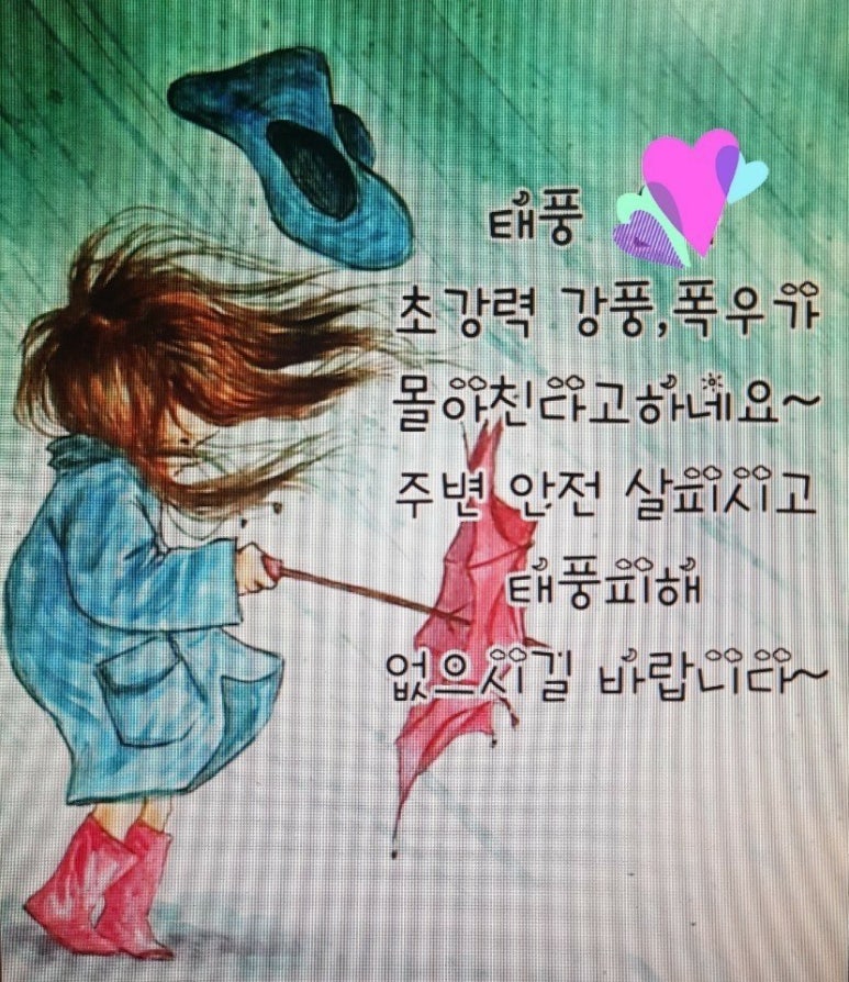 도미라 이미지