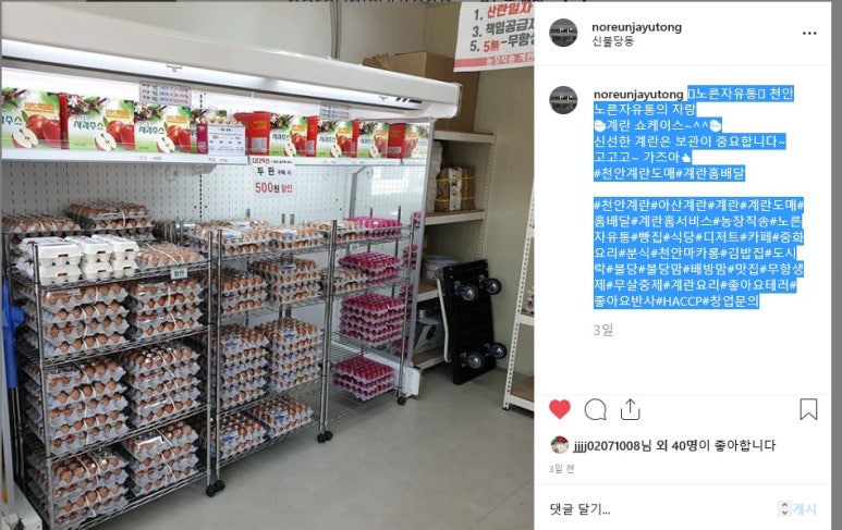 노른자케이스 이미지