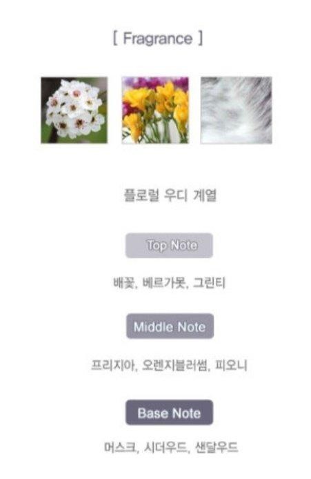 임브레이스 이미지