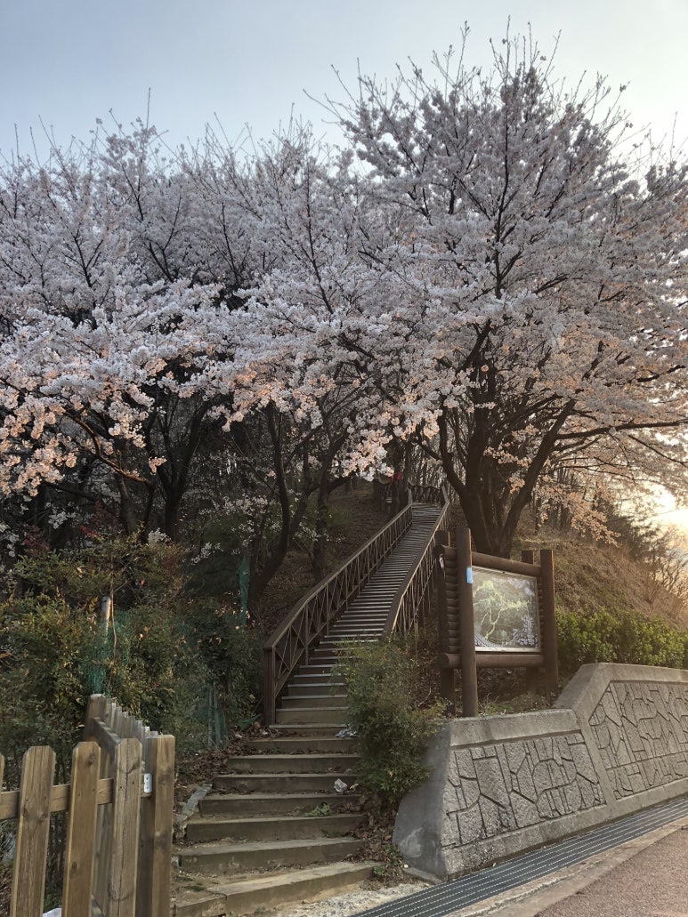능이촌 이미지