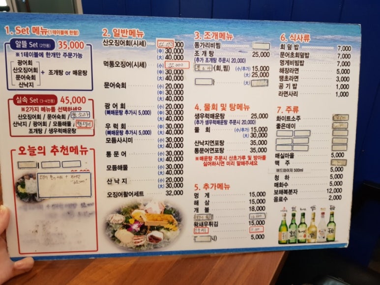 문어와산오징어 이미지