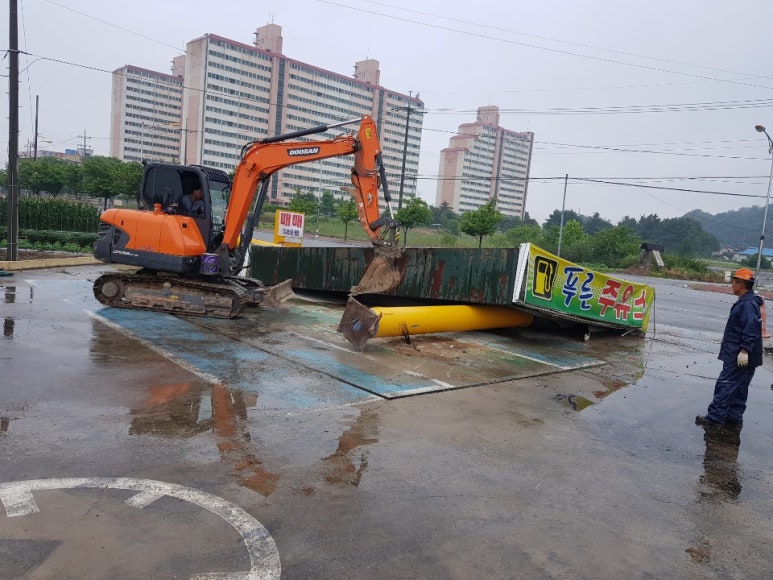푸른캐노피 이미지