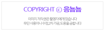 굽네치킨(선부3동점) 이미지
