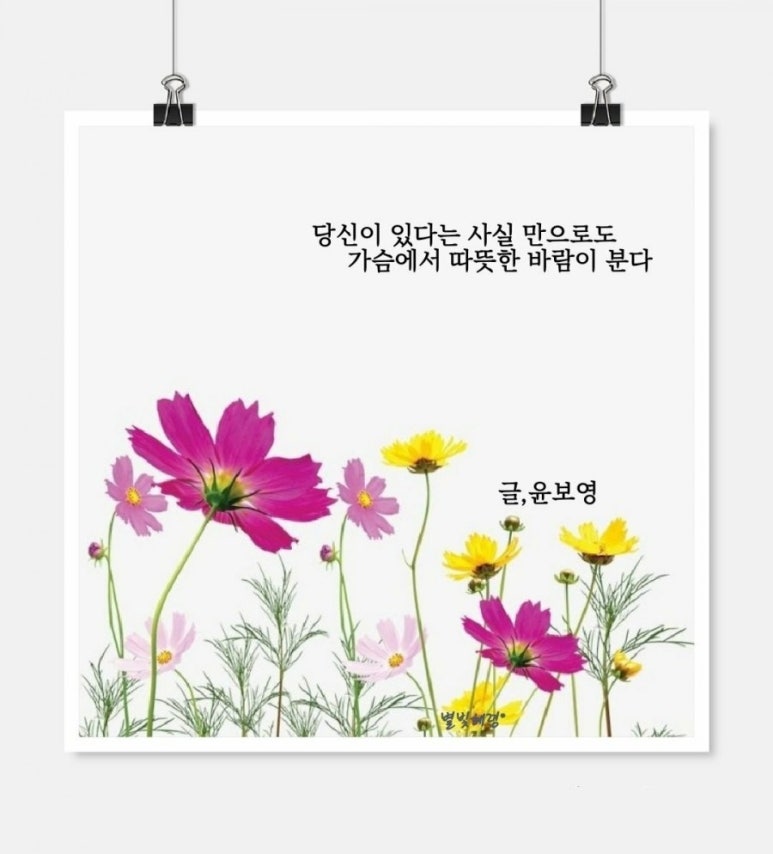 행복한그릇 이미지