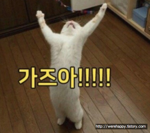 콩툰 이미지